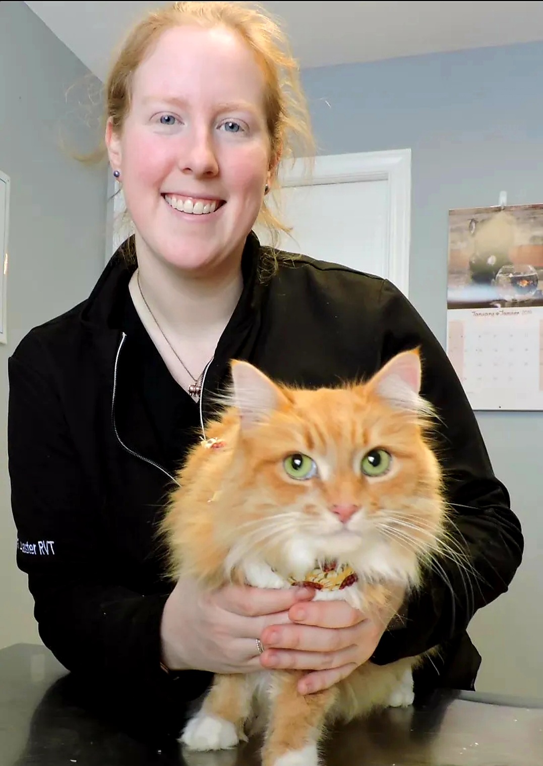 Williamstown Veterinary Services staff member Devan with a red cat