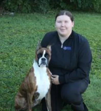 Kaylee New Haven Pet Hospital with a brown and white dog