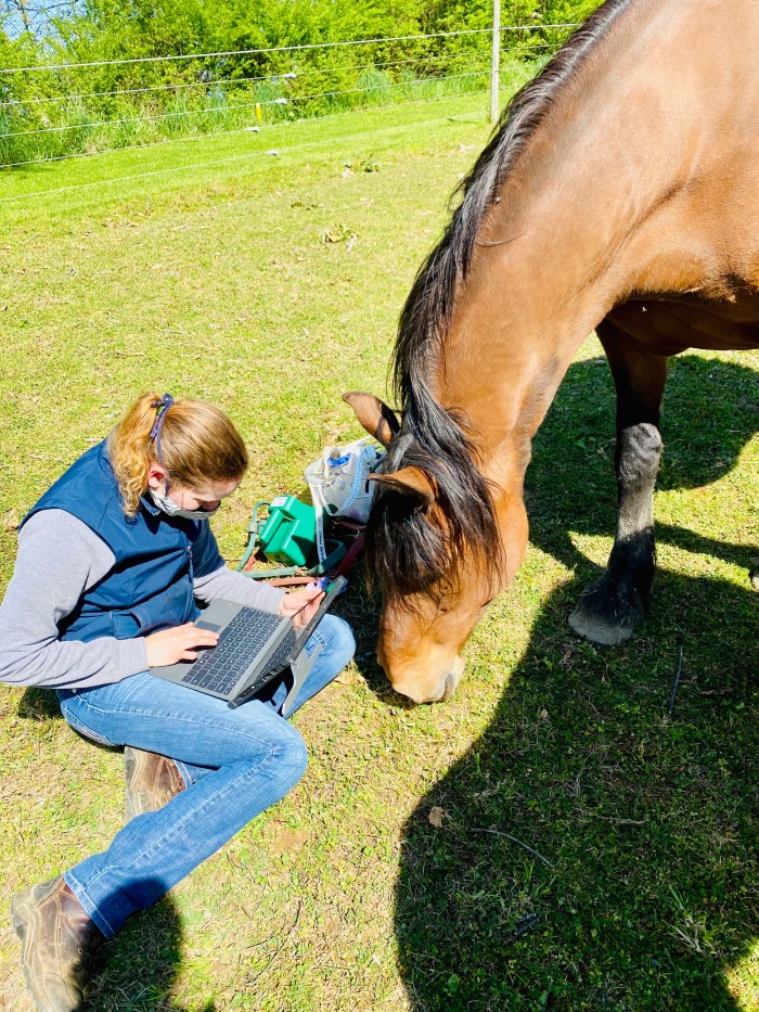 Intern with horse