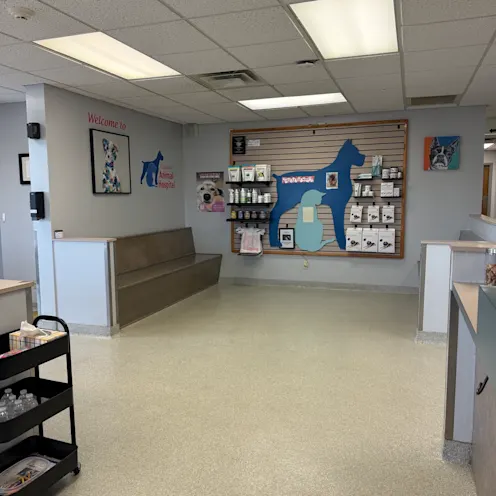 "Pet of the Week" Wall + Pet Supplies at Kokomo Animal Hospital "Pet of the Week" Wall + Pet Supplies at Kokomo Animal Hospital