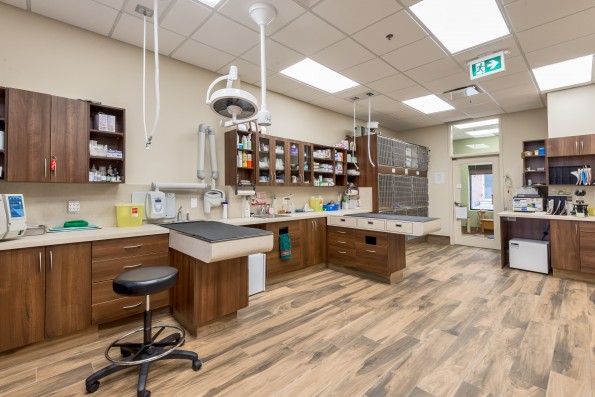 Dental Suite & Treatment Area