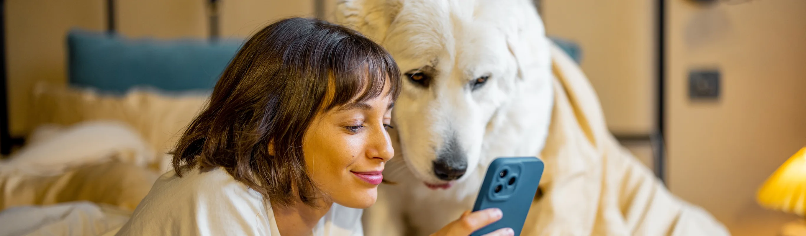 Woman laying in bed next to a white dog, looking at her phone Woman laying in bed next to a white dog, looking at her phone