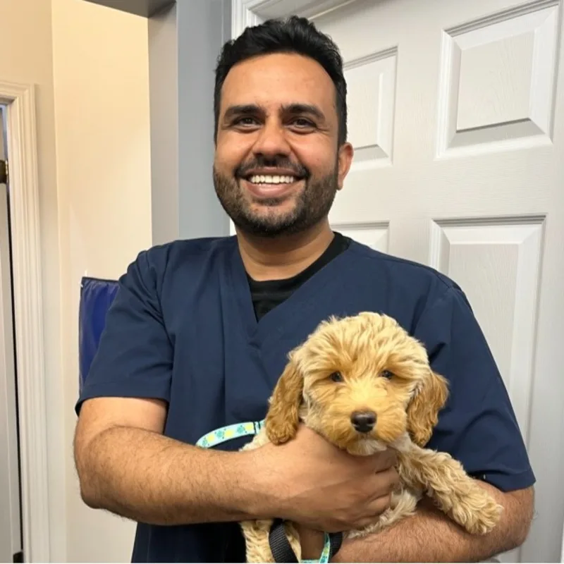 Dr. Jasmeet Khosa Dr. Jasmeet Khosa