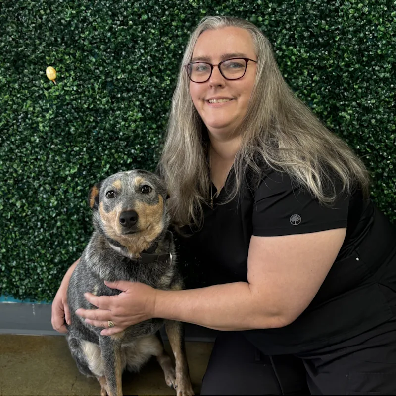 Dr. Tracy Graham Dr. Tracy Graham