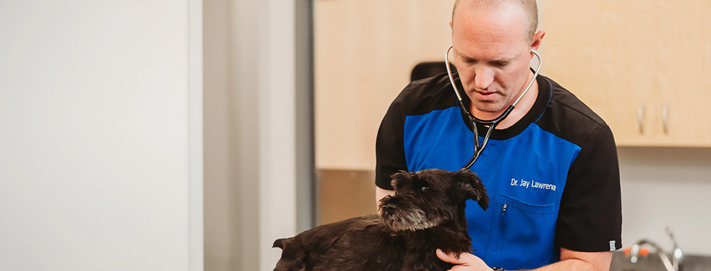 Dr. Jay Lawrence examining a dog