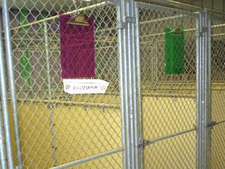 Chastain Animal Clinic large boarding kennels