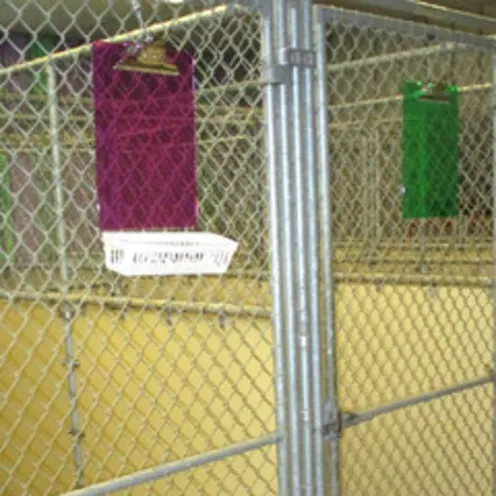 Chastain Animal Clinic large boarding kennels Chastain Animal Clinic large boarding kennels