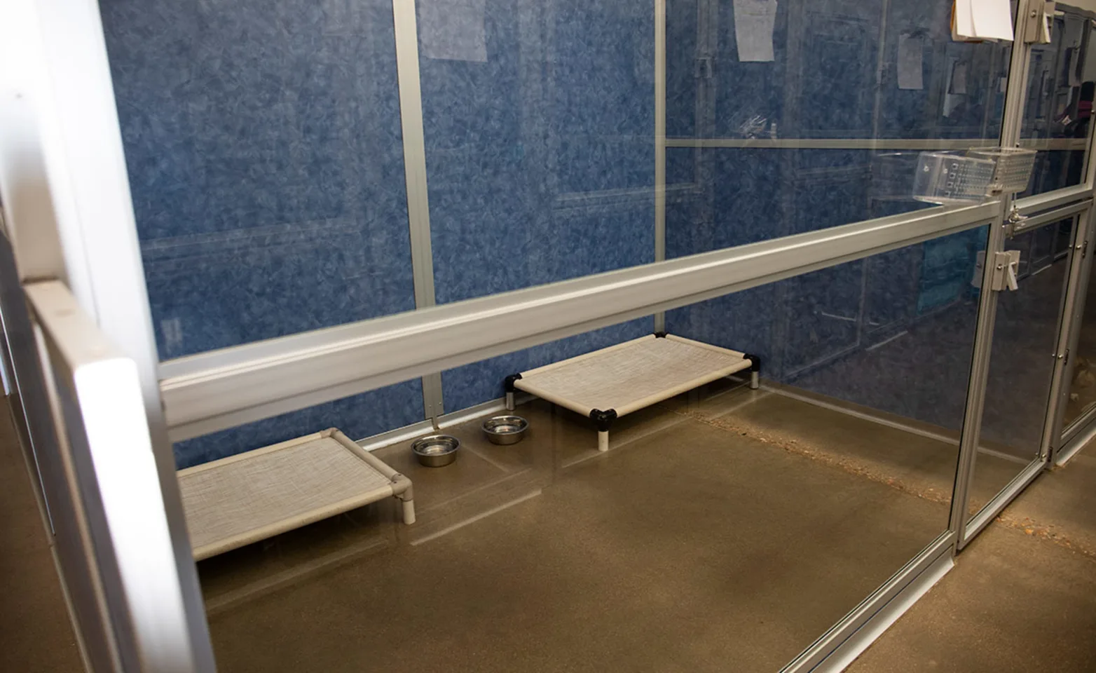 Dog Boarding rooms Dog Boarding rooms