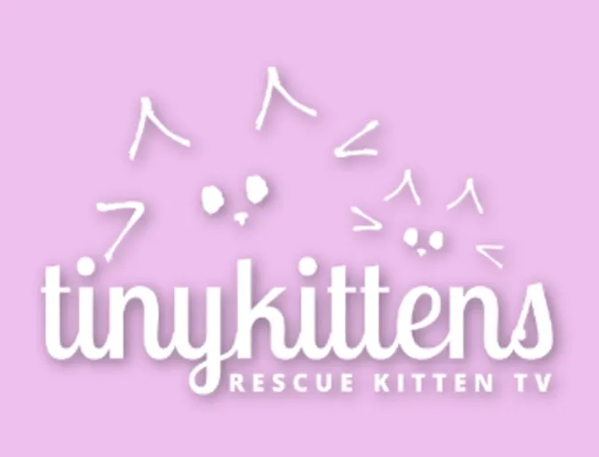TinyKittens Rescue Kitten TV Logo TinyKittens Rescue Kitten TV Logo