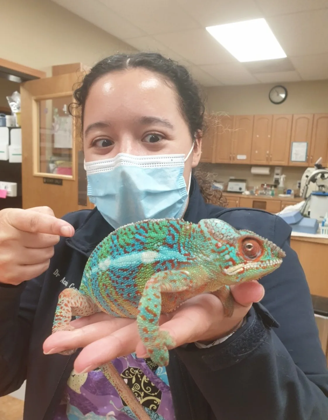 Dr. Acacia Cordes Dr. Acacia Cordes