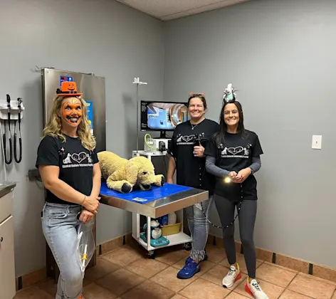 Staff with halloween costumes with a plush toy on an examination table Staff with halloween costumes with a plush toy on an examination table