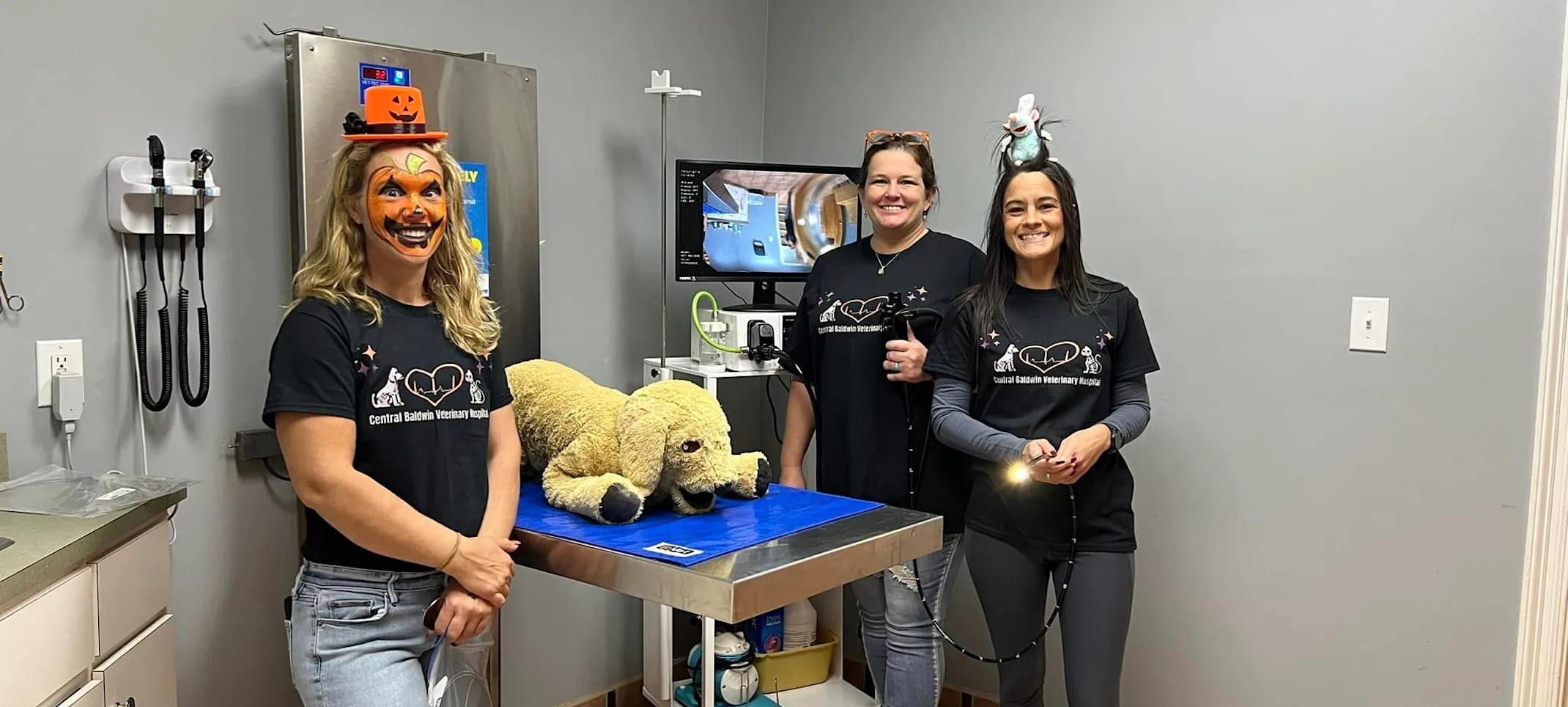 Staff with halloween costumes with a plush toy on an examination table Staff with halloween costumes with a plush toy on an examination table