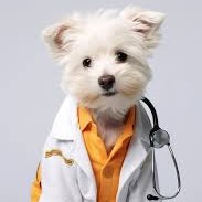 Dr. Nina Atanackovic