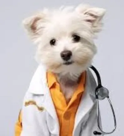 Dr. Nina Atanackovic Dr. Nina Atanackovic