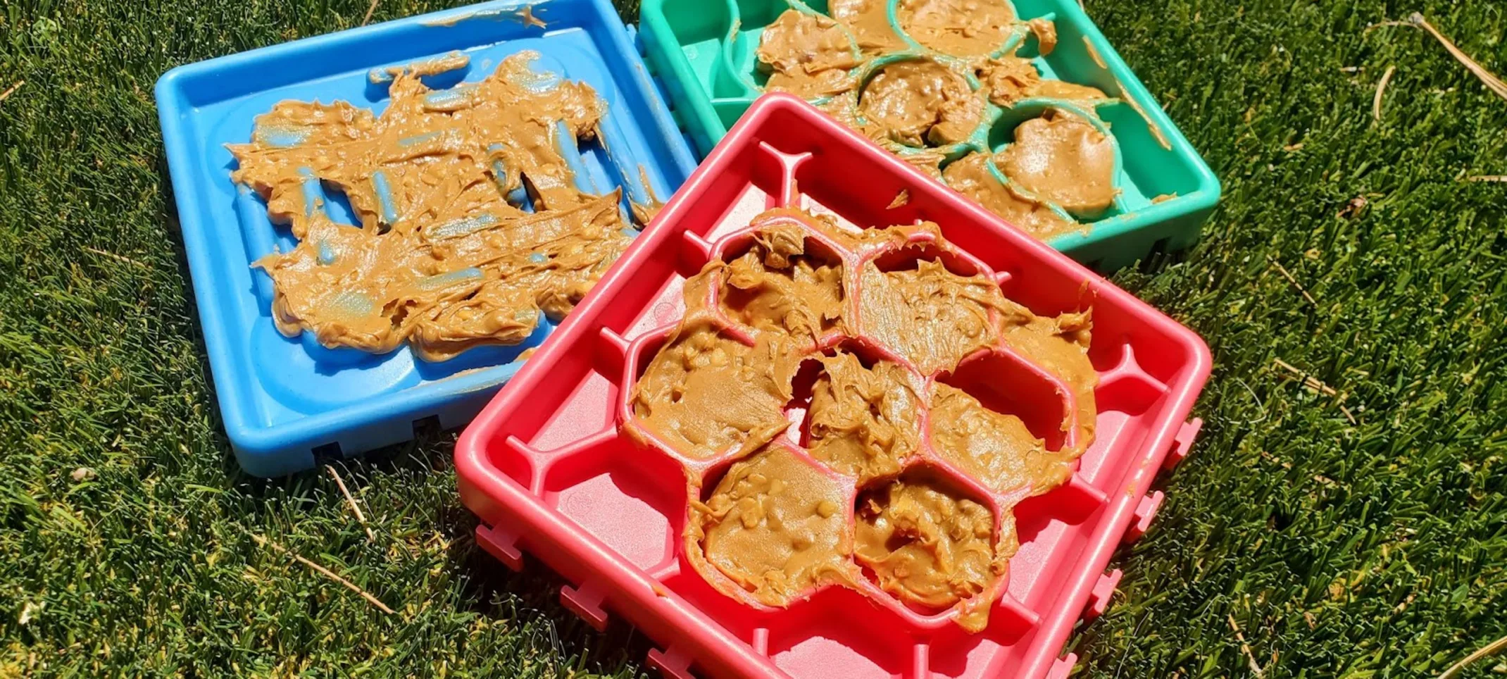 Peanut Butter Covered Licky Mats Peanut Butter Covered Licky Mats
