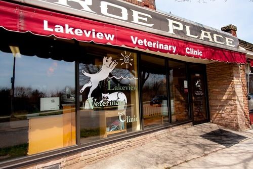 Animal Hospital in Madison, WI | Lakeview Veterinary Clinic