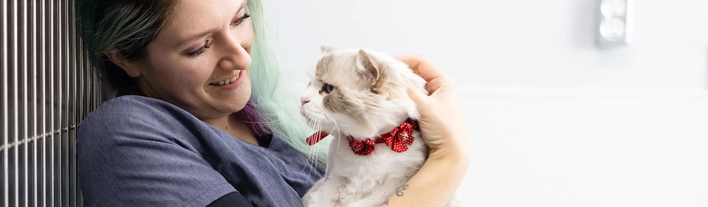 A Burtch Animal Hospital staff member leaning against a wall, holding a cat, and smiling A Burtch Animal Hospital staff member leaning against a wall, holding a cat, and smiling