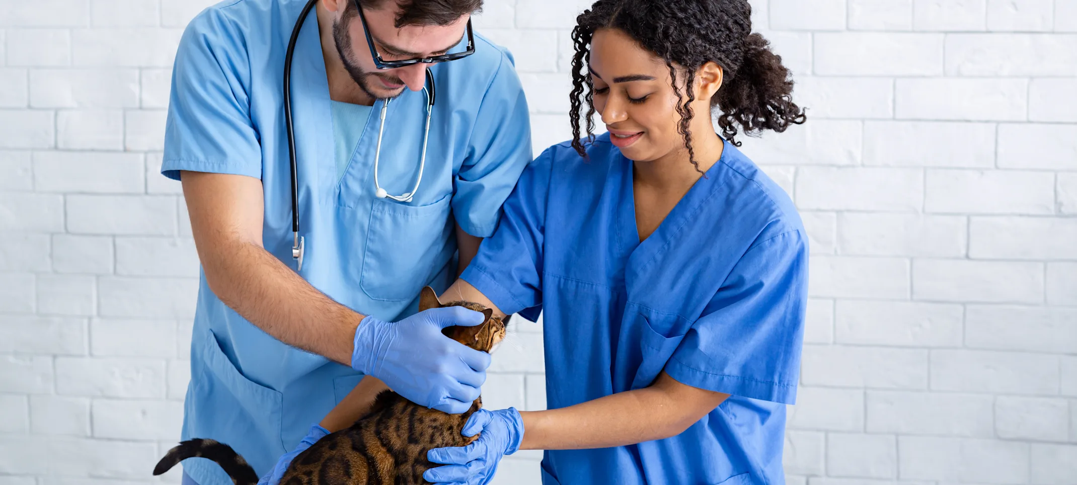 Woman and Man Checking Cat on table