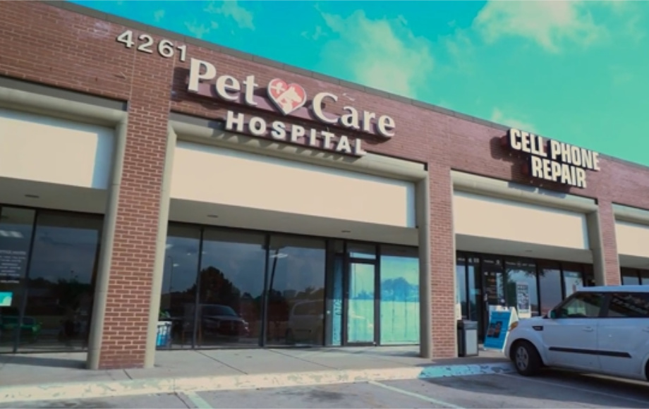 Dog care hospital near clearance me