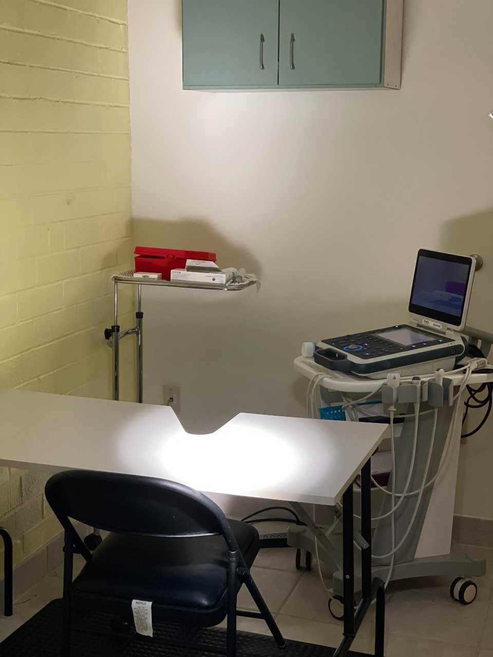 Ultrasonography Table at Cat Clinic of Greensboro