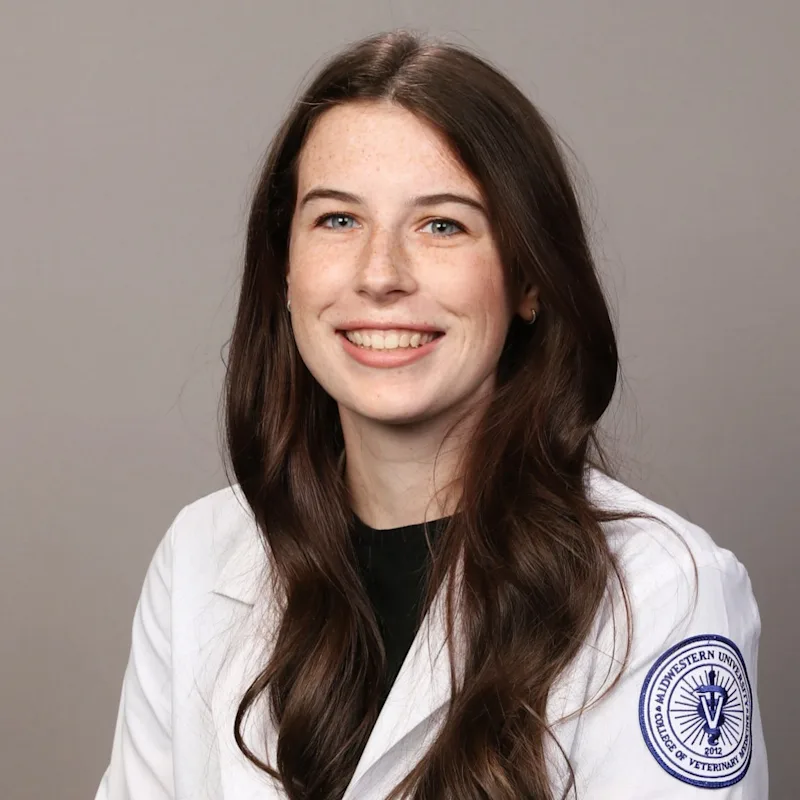 Dr. Morgan Hirsh Dr. Morgan Hirsh