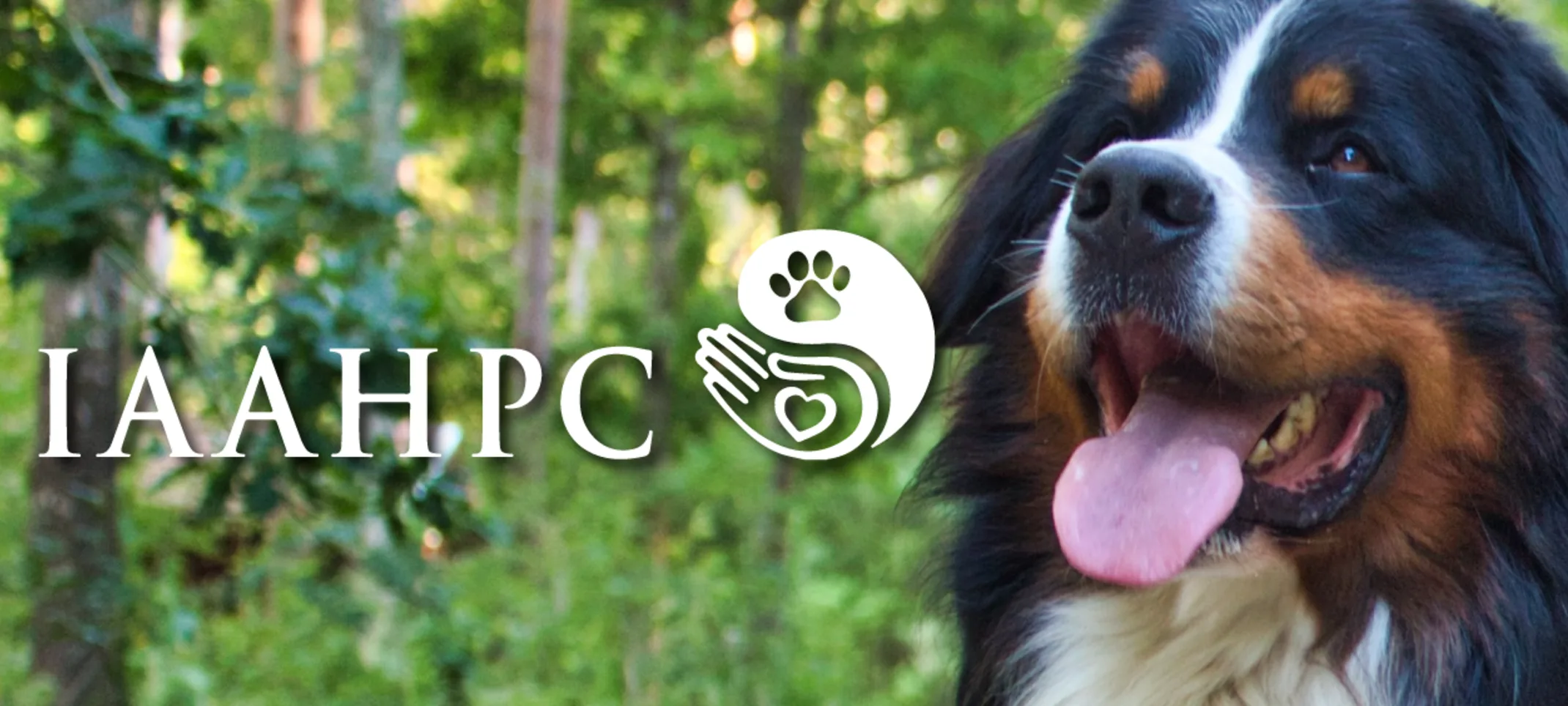 International Association for Animal Hospice and Palliative Care (IAAHPC) Logo with a shaggy calico dog on it 