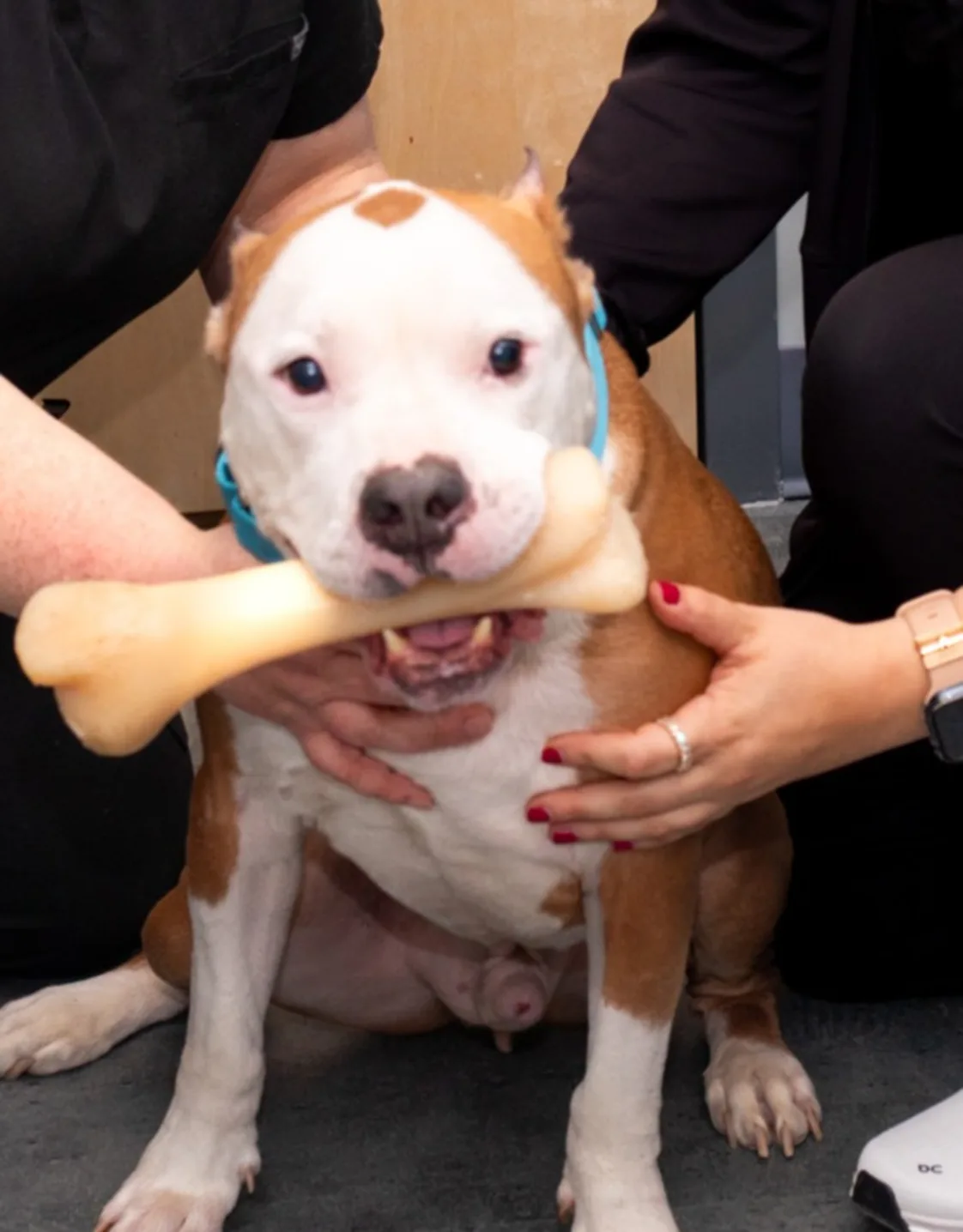 Dr. Jaclyn St. Croix Dr. Jaclyn St. Croix