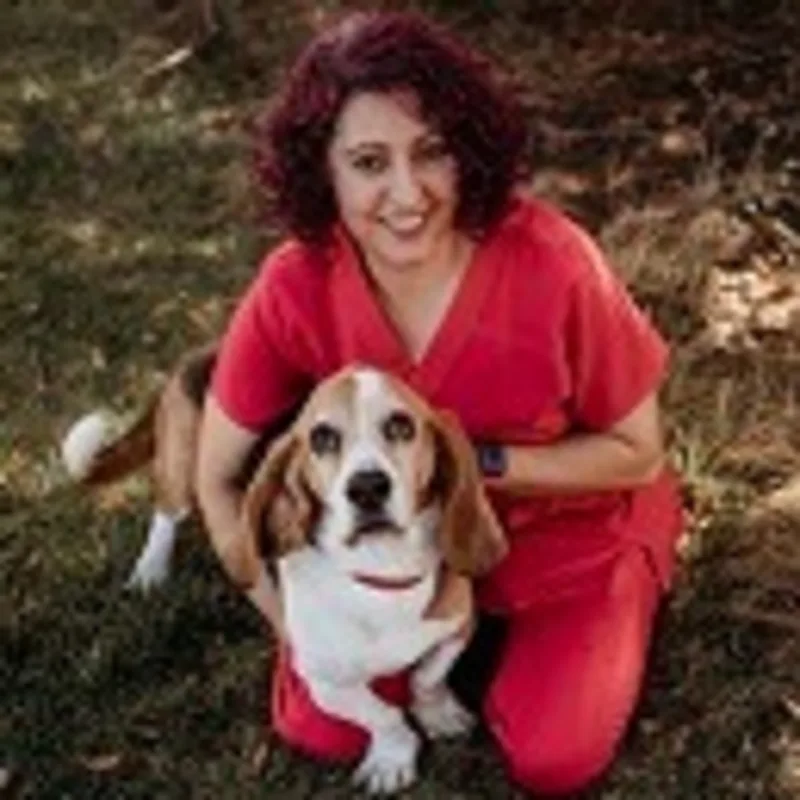 Dr. Sherry Ibrahim Dr. Sherry Ibrahim