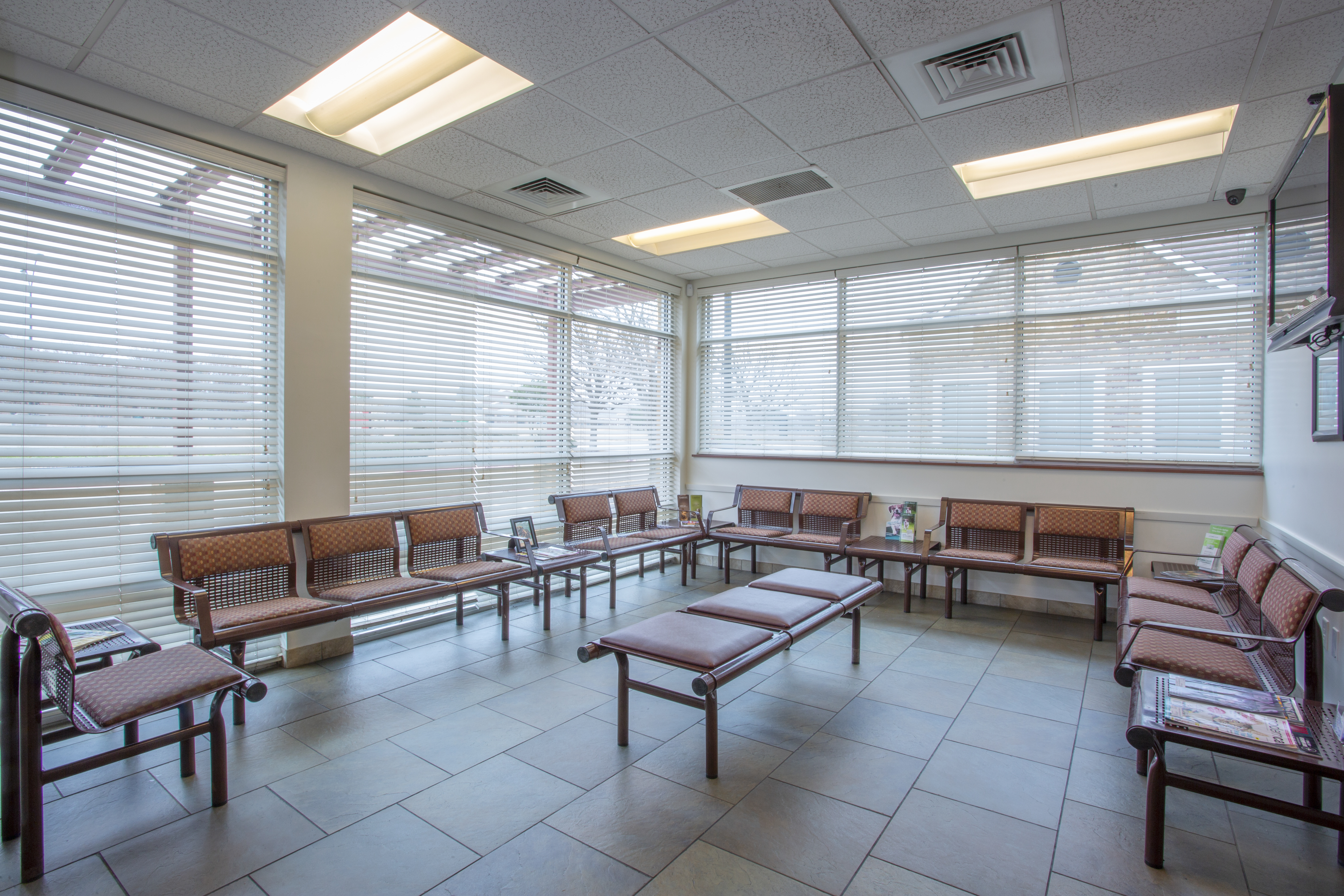 Waiting room at Alliance Animal Health Center