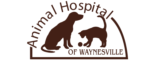 Homepage | Animal Hospital of Waynesville