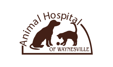 Animal Hospital of Waynesville Logo