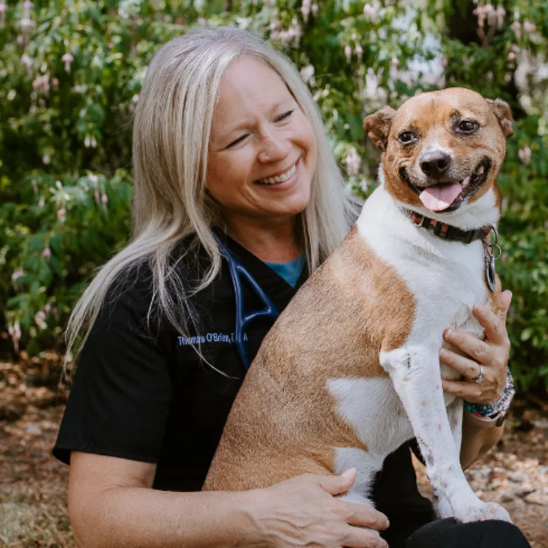 Dr. Jody Thomas O'Brien holding a tan and white dog in her lap Dr. Jody Thomas O'Brien holding a tan and white dog in her lap