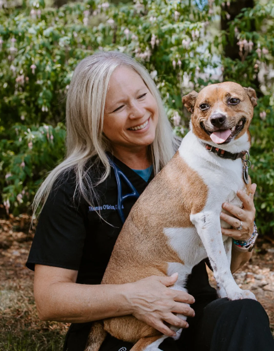 Dr. Jody Thomas O'Brien holding a tan and white dog in her lap Dr. Jody Thomas O'Brien holding a tan and white dog in her lap