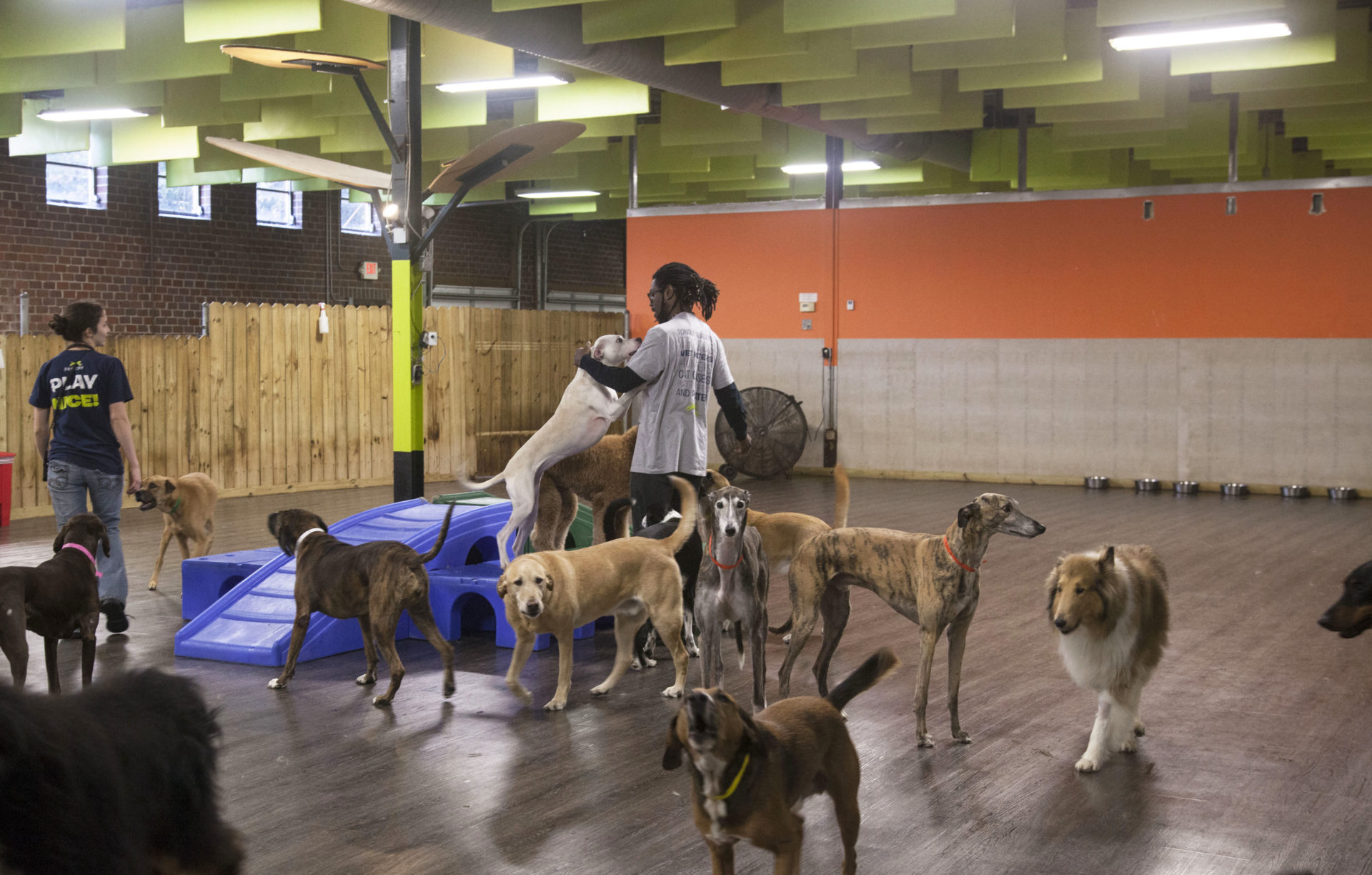 Doguroo Indoor Facility