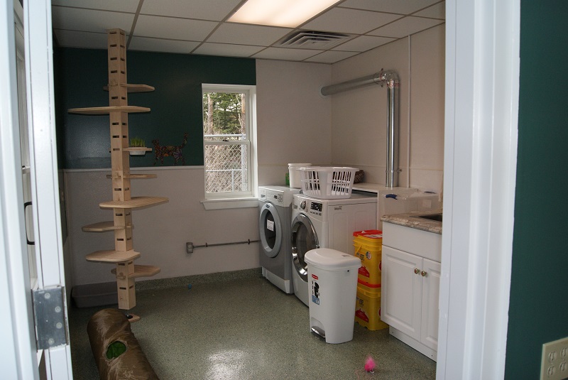 Bay Pines Veterinary Clinic Cat Room