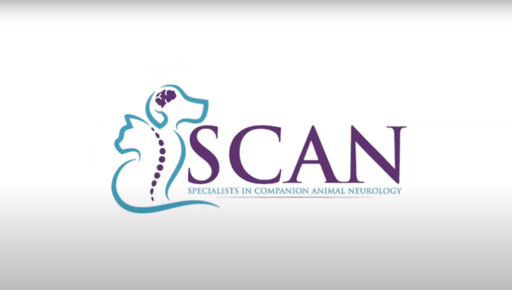 SCAN logo