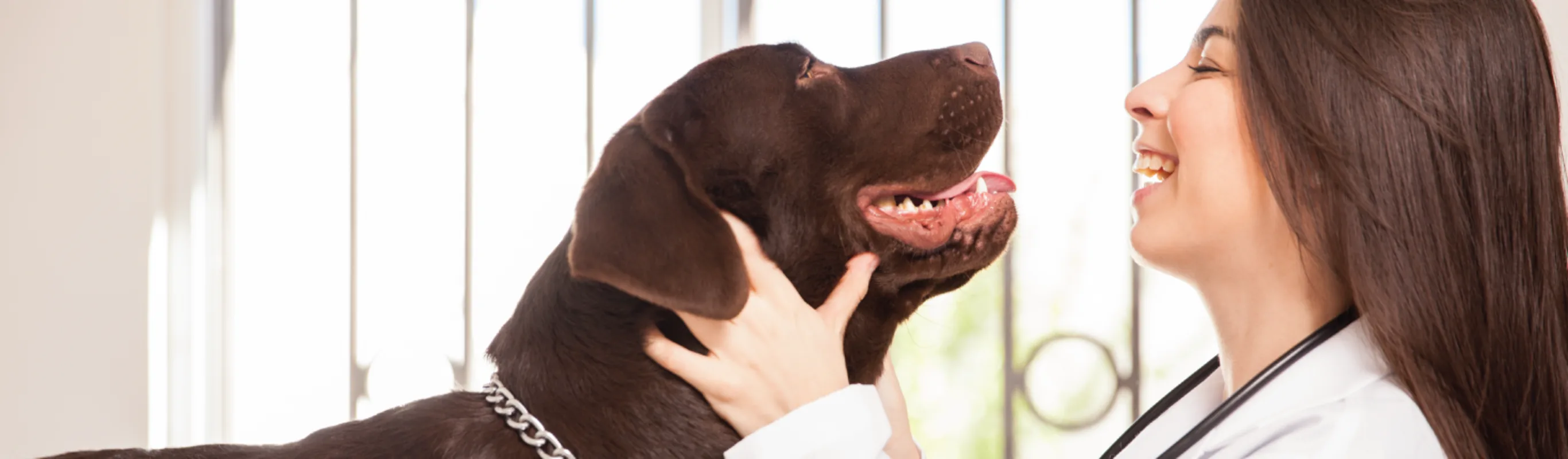 Dog and Woman Smiling