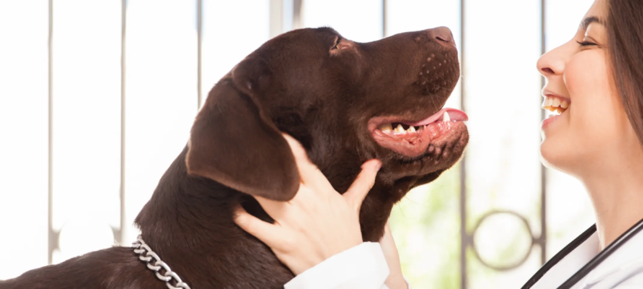 Dog and Woman Smiling