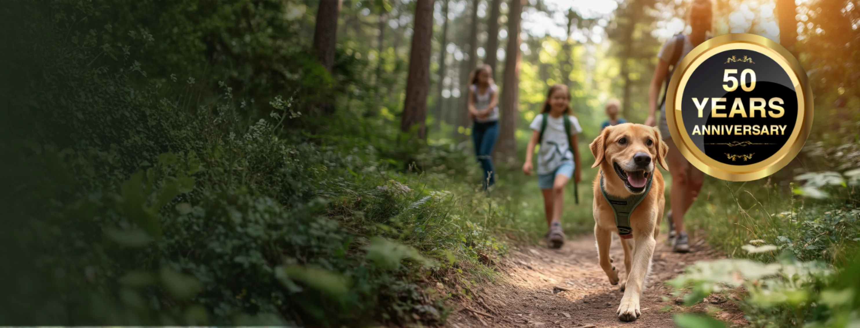 Fairfield Animal Hospital - Celebrating 50 Years Fairfield Animal Hospital - Celebrating 50 Years