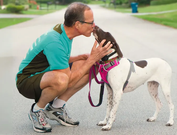 Dr. Jan Bellows Dr. Jan Bellows