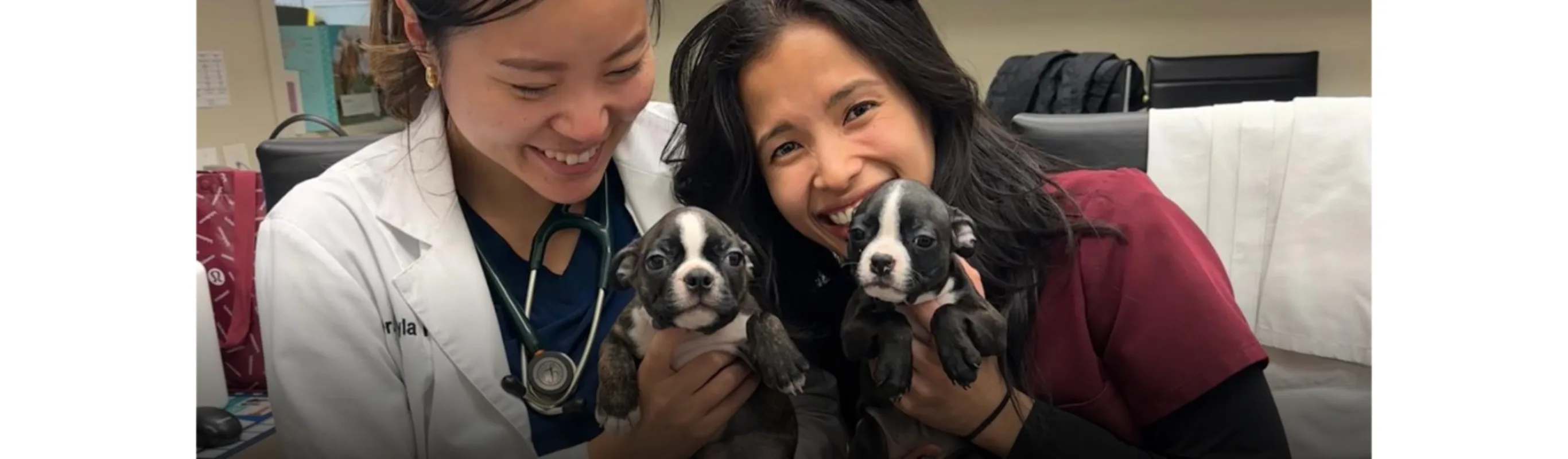 Two staff members holding puppies Two staff members holding puppies