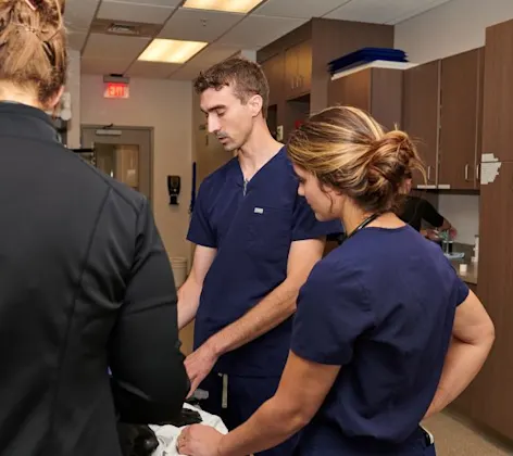 Two staff members examining a dog 