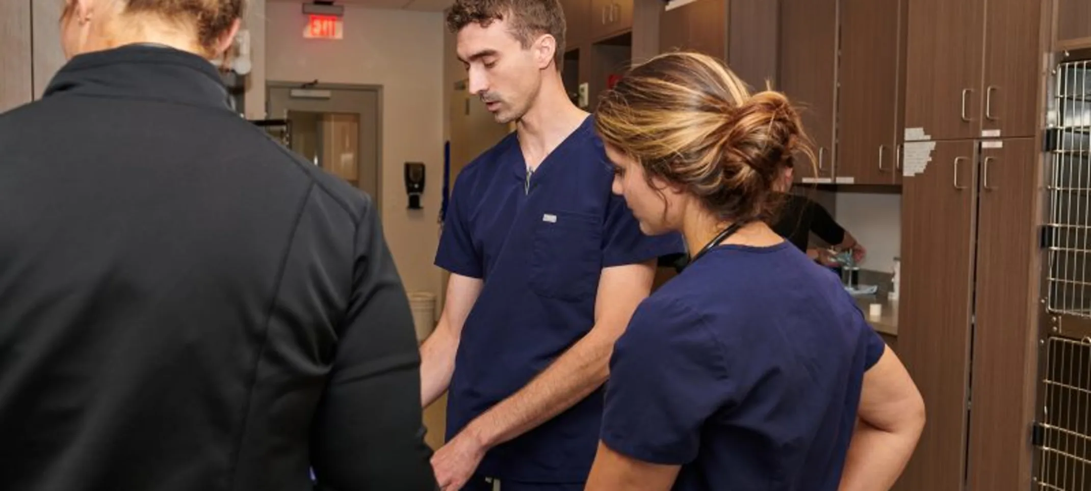 Two staff members examining a dog 