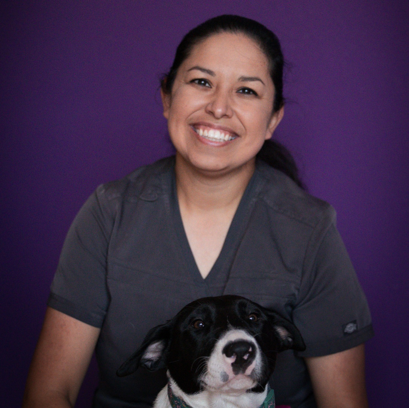 Eva ABQ Petcare Hospital