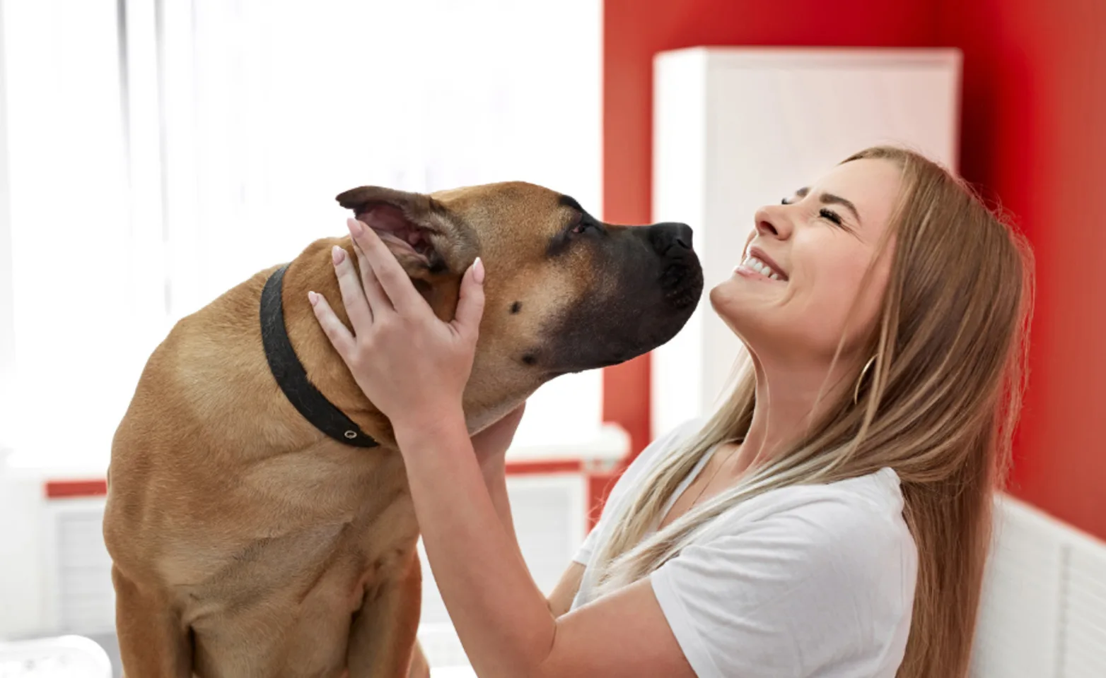 Girl Laughing and Holding a Brown Dog