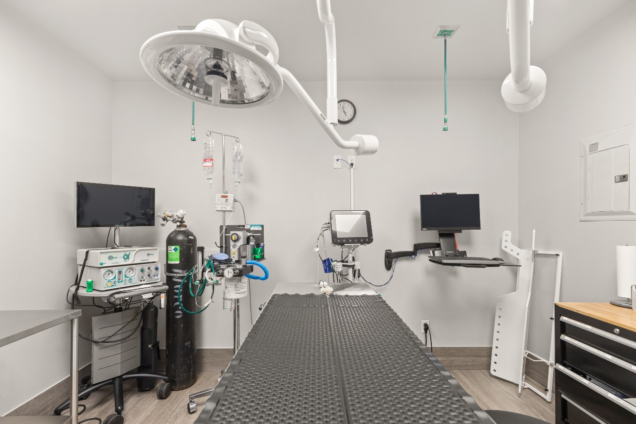 Surgery suite at All Pet Complex Veterinary Hospital