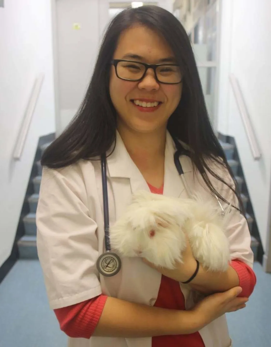 A doctor posing with a white rabbit A doctor posing with a white rabbit