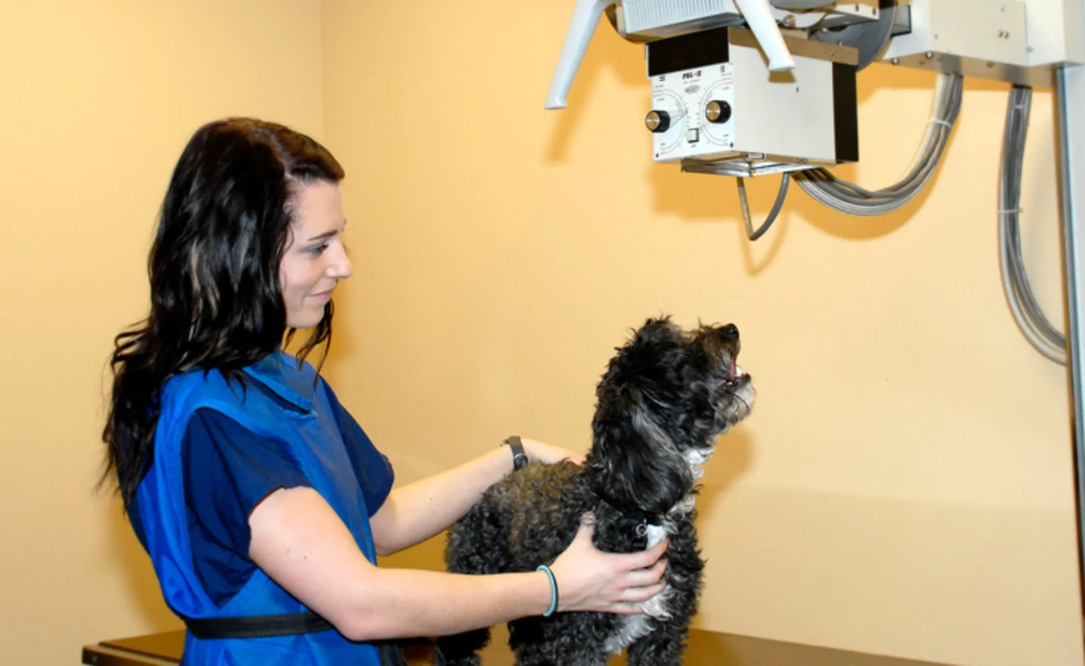 Veterinary technician holding a black dog on table