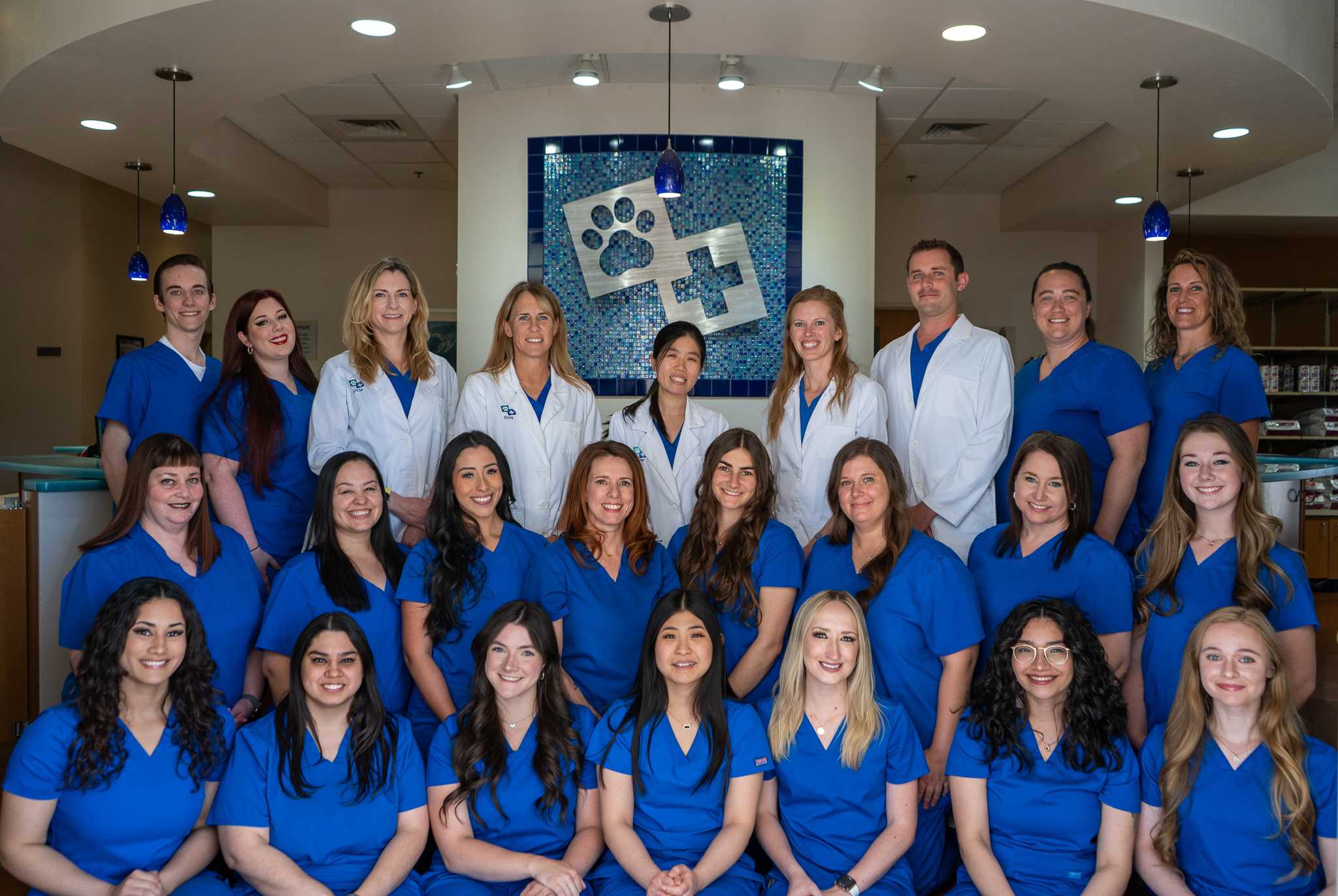 Veterinary Care in Tempe, AZ McClintock Animal Care Center