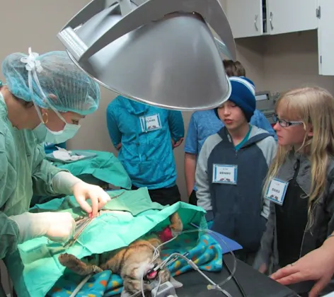 Junior Vet Program session at Bowmanville Veterinary Clinic Junior Vet Program session at Bowmanville Veterinary Clinic